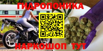 гидра Кулебаки