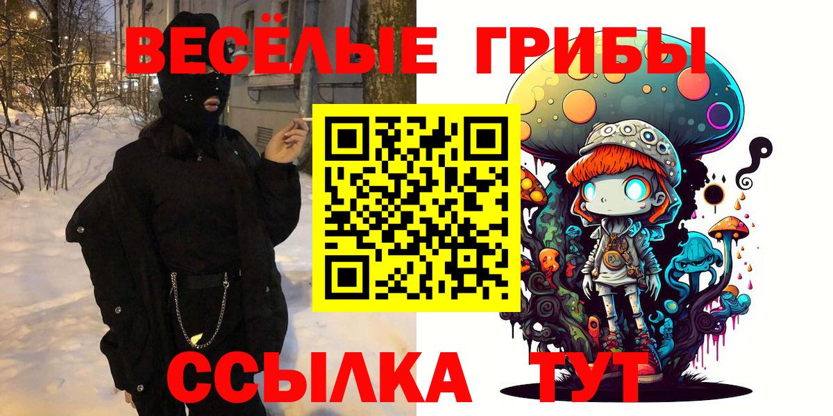 Ставрополь  Псилоцибиновые грибы MAGIC MUSHROOMS  Вход с VPN 